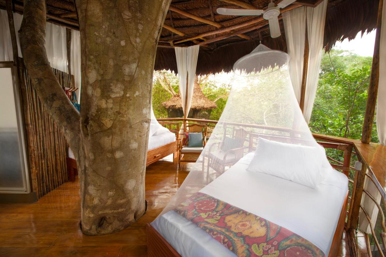 Treehouse Lodge - 4 Days - from Iquitos